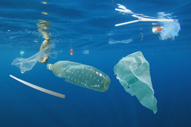 Plastic Waste In The World's Oceans Could Double By 2030, IEA Warns