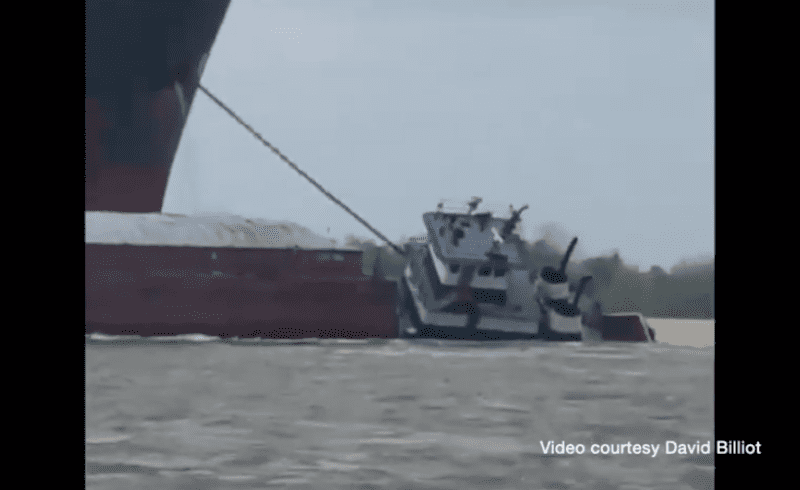 michelle ann sinking
