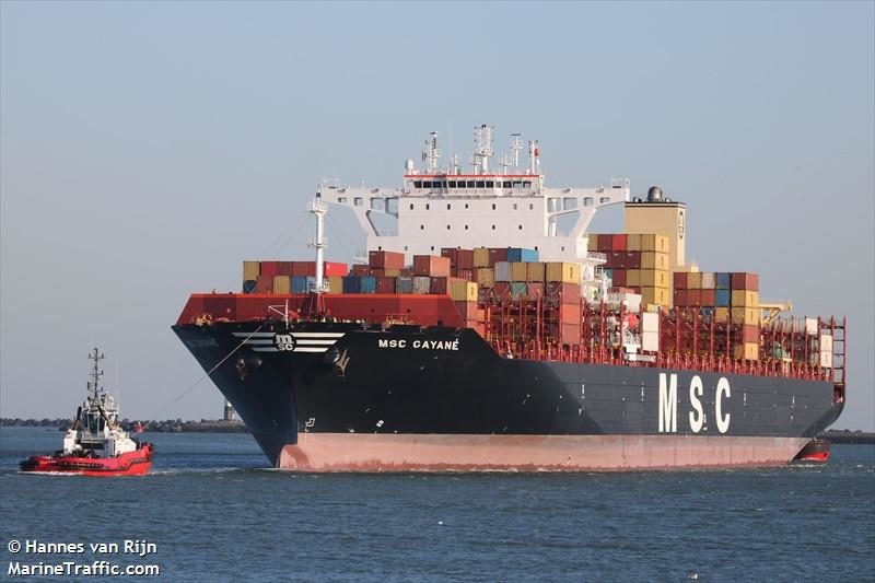 File photo shows the MSC Gayane