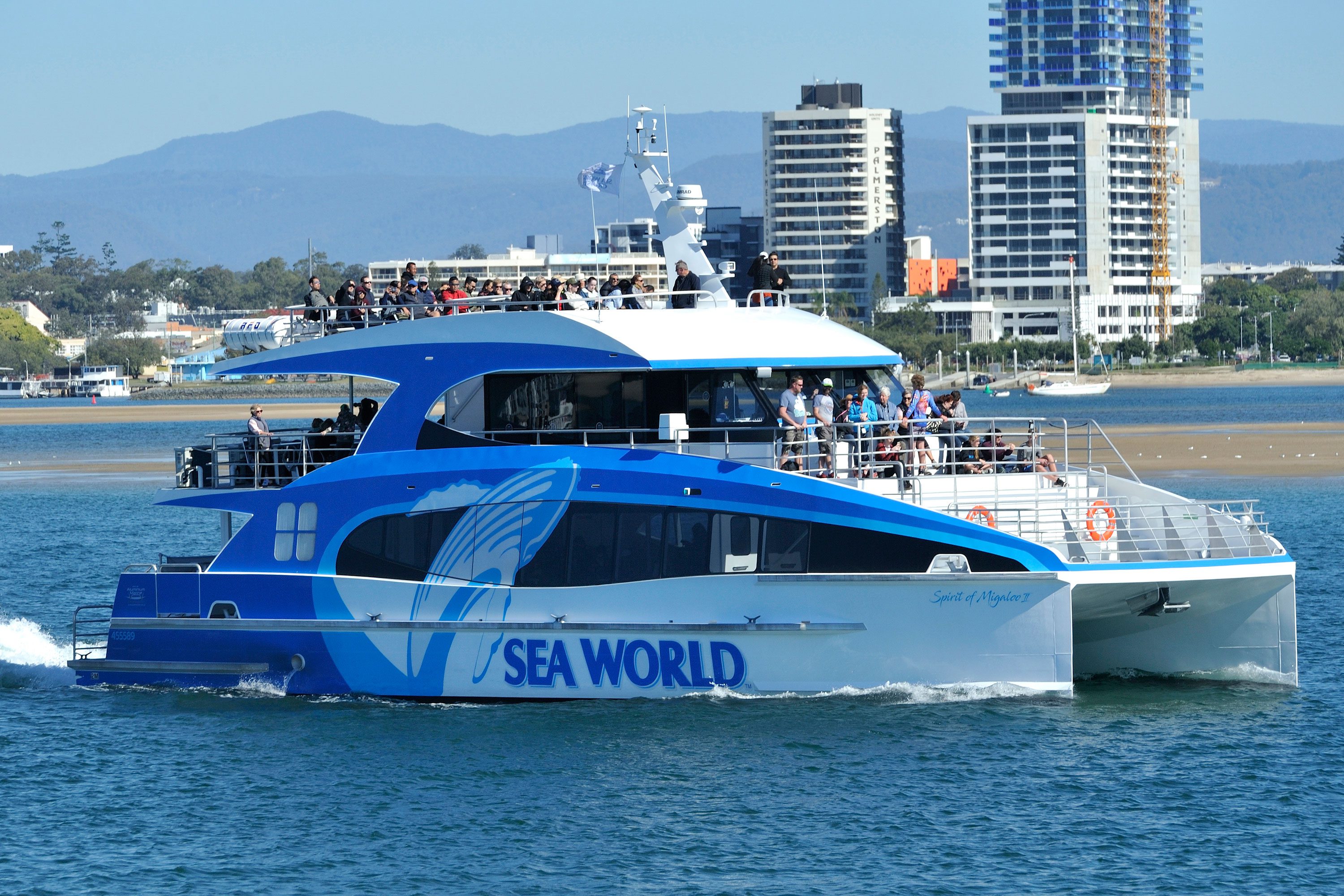 Australia’s Most Advanced Whale Watching Vessel Operating in the Gold Coast
