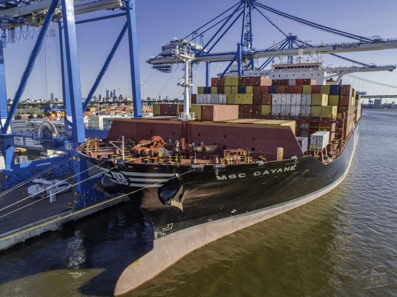 msc gayane drug bust