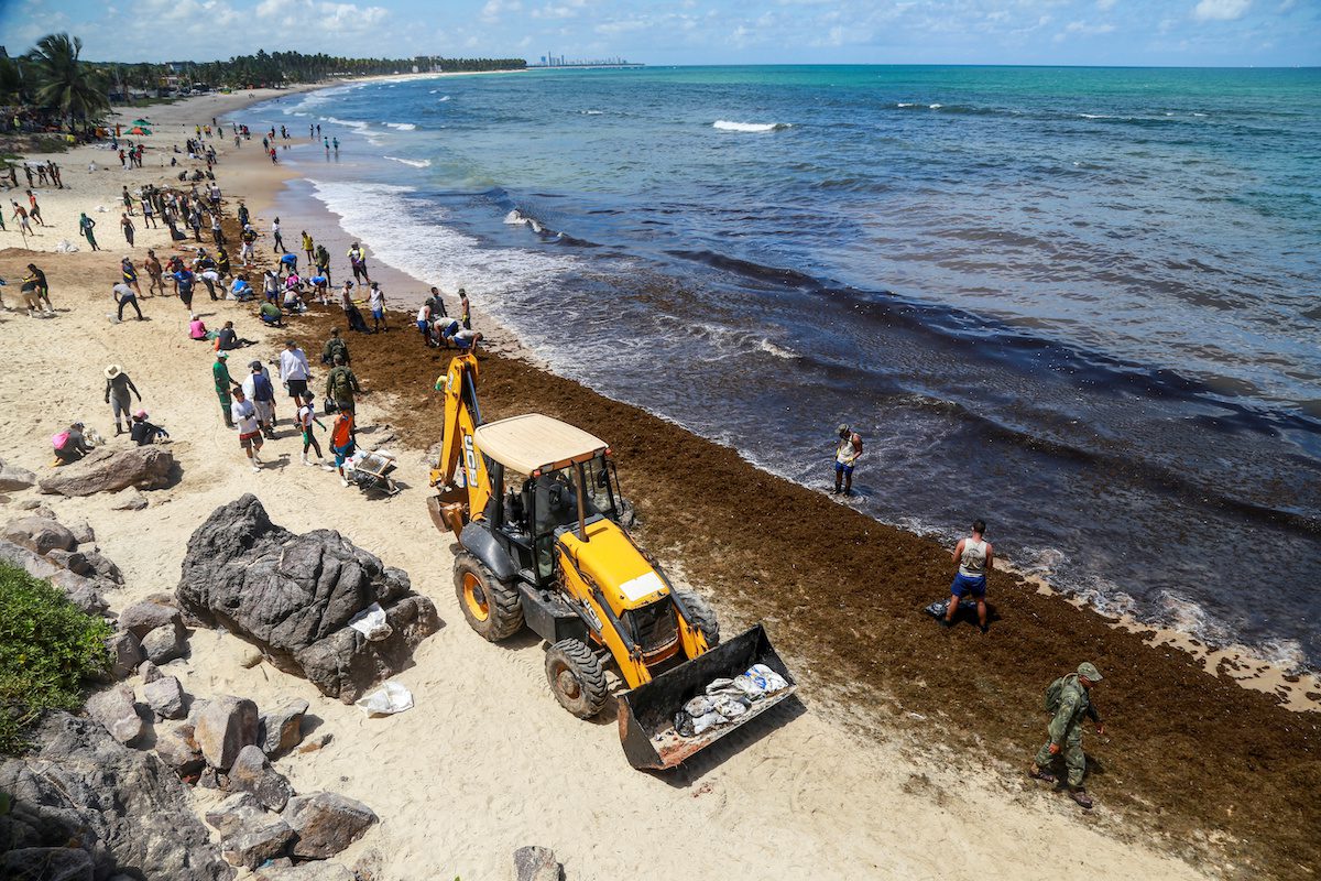 Brazilian army soldiers and residents work to remove an oil spill on Itapuama Beach in Cabo de Santo Agostinho