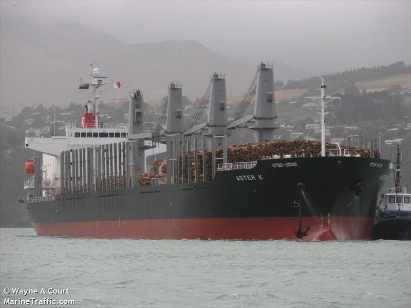 New Zealand Fines Stevedoring Company $150,000 for Dropping Excavator from Ship’s Crane