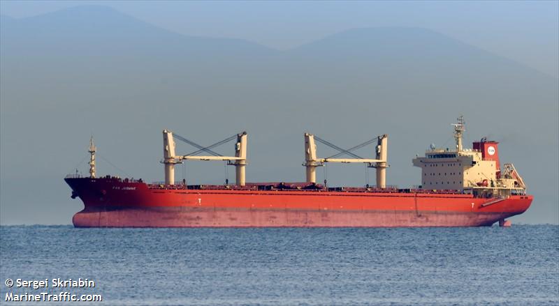 Cargo Ship Gets Kicked Out of U.S. Waters After Discovery of Invasive Insects