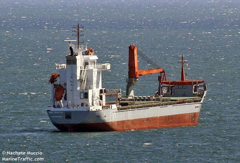 Captain and Crew Found Drunk After Russian Cargo Ship Almost Grounds in Poland