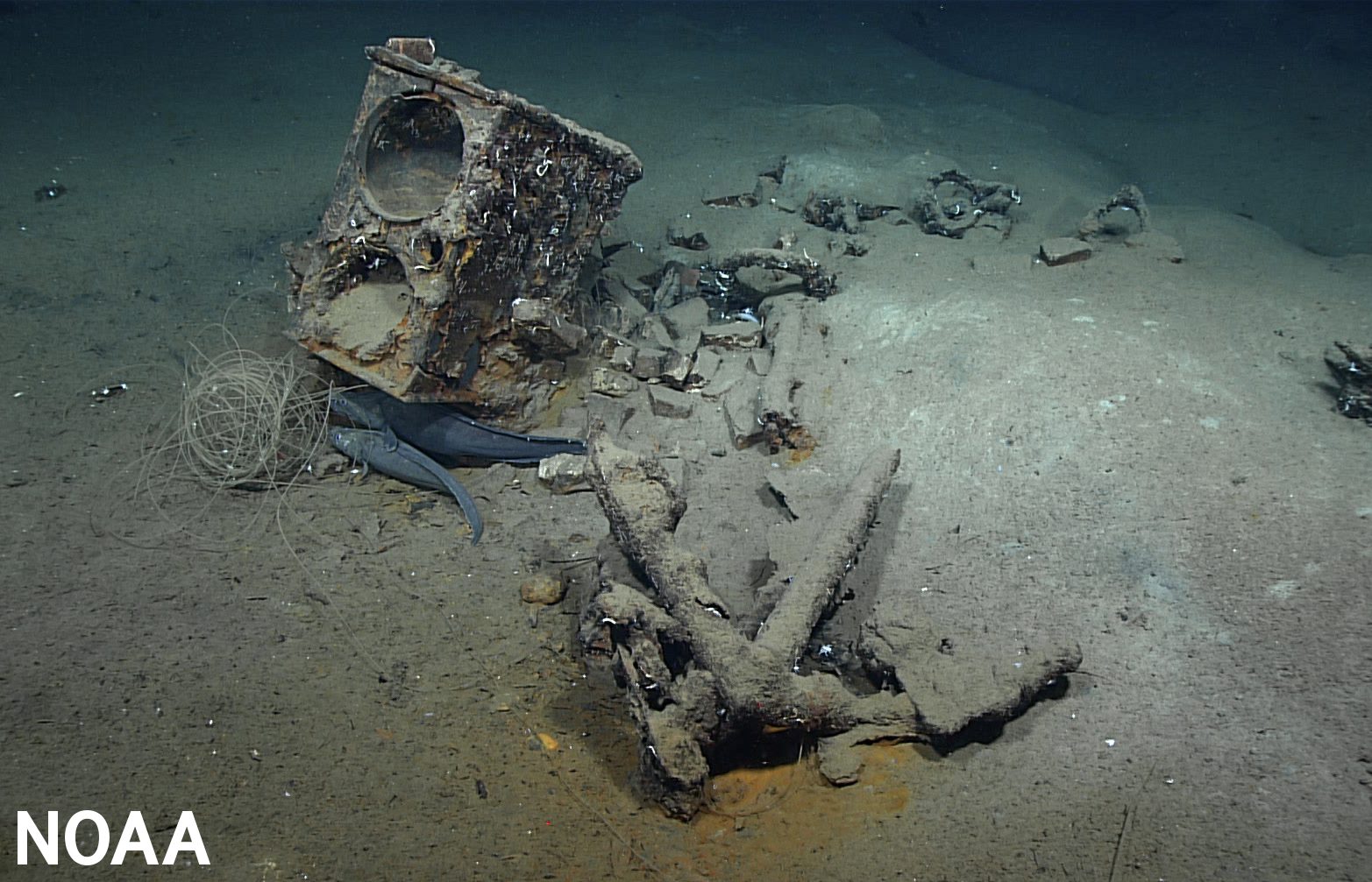 NOAA Discovers 207-Year-Old Whaling Ship Lost in Gulf of Mexico