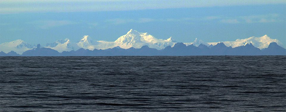 UN Fails To Update Treaty Aimed At Protecting Marine Life - Vimarsana News