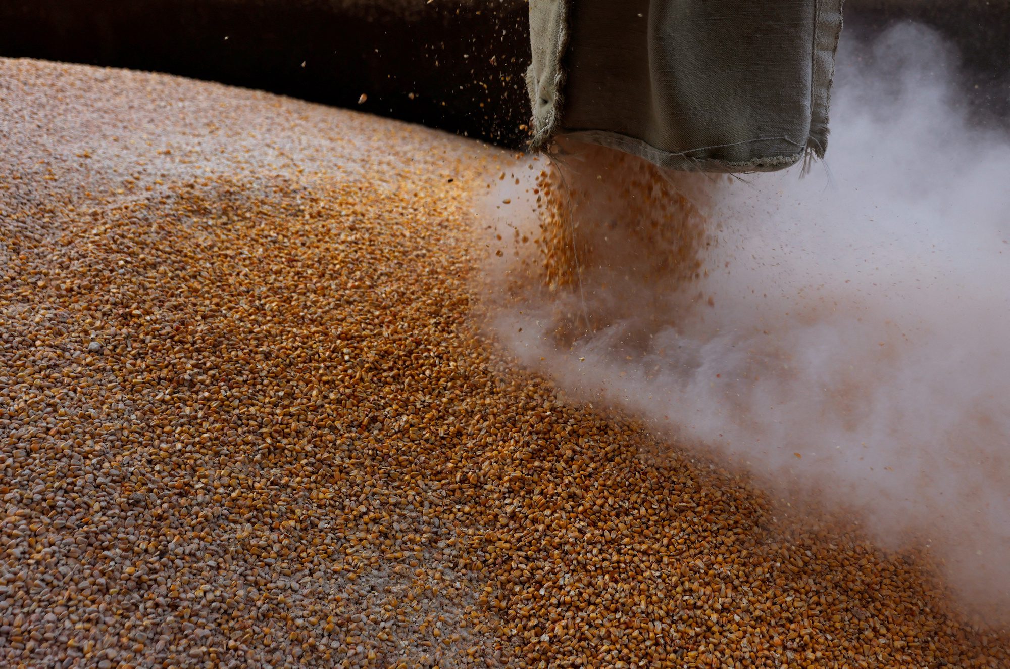 Russia and Ukraine Sign Deal to Restore Grain Exports