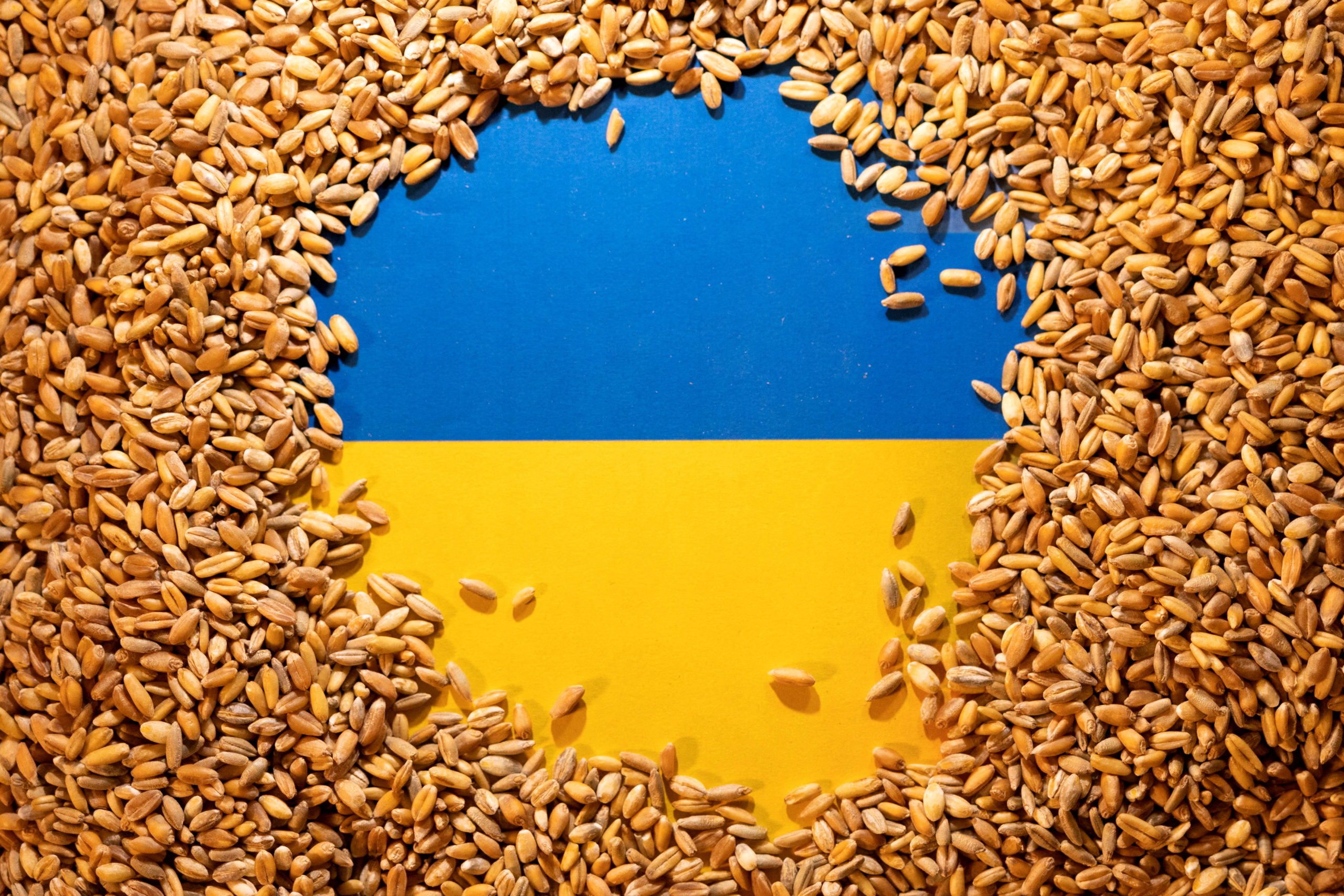 Ukraine Flag Grain
