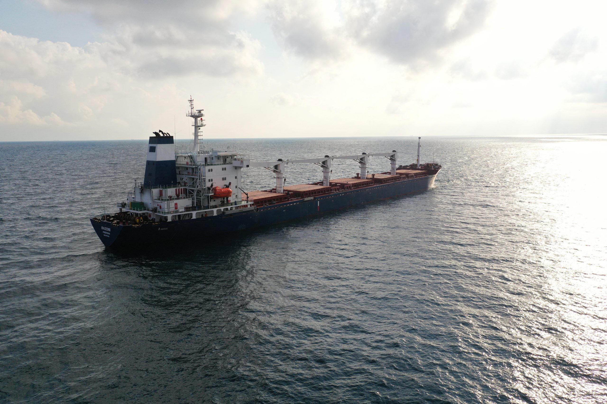 Ukraine and Russia Agree to Protect Grain Ships in Black Sea