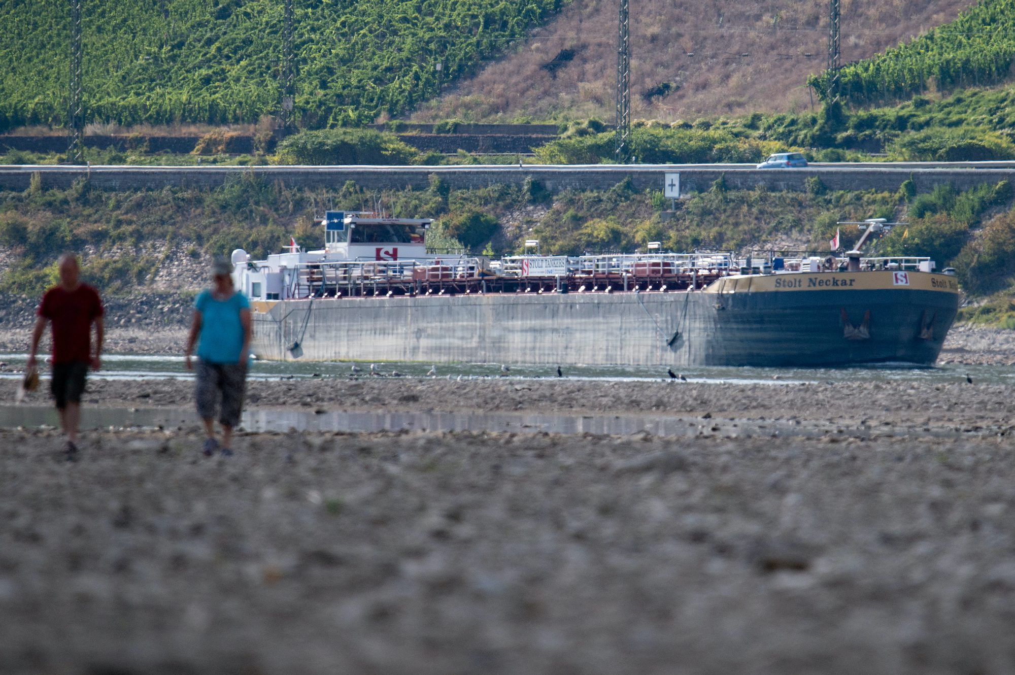 Veteran Barge Company Warns Upper Rhine River Shipping at Risk