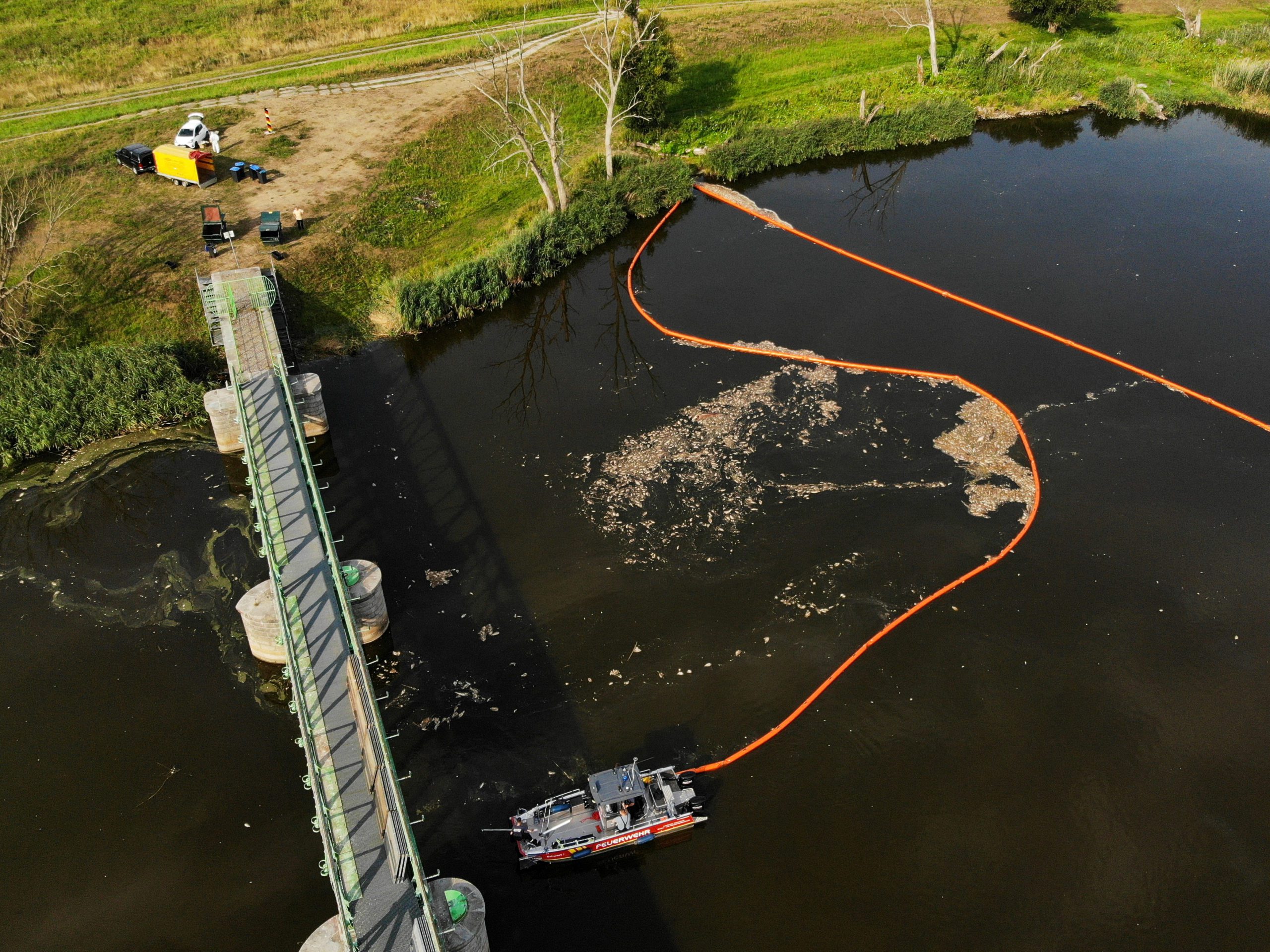 Fear For Future After Mass Die-Off Of Fish In Poland’s Oder River