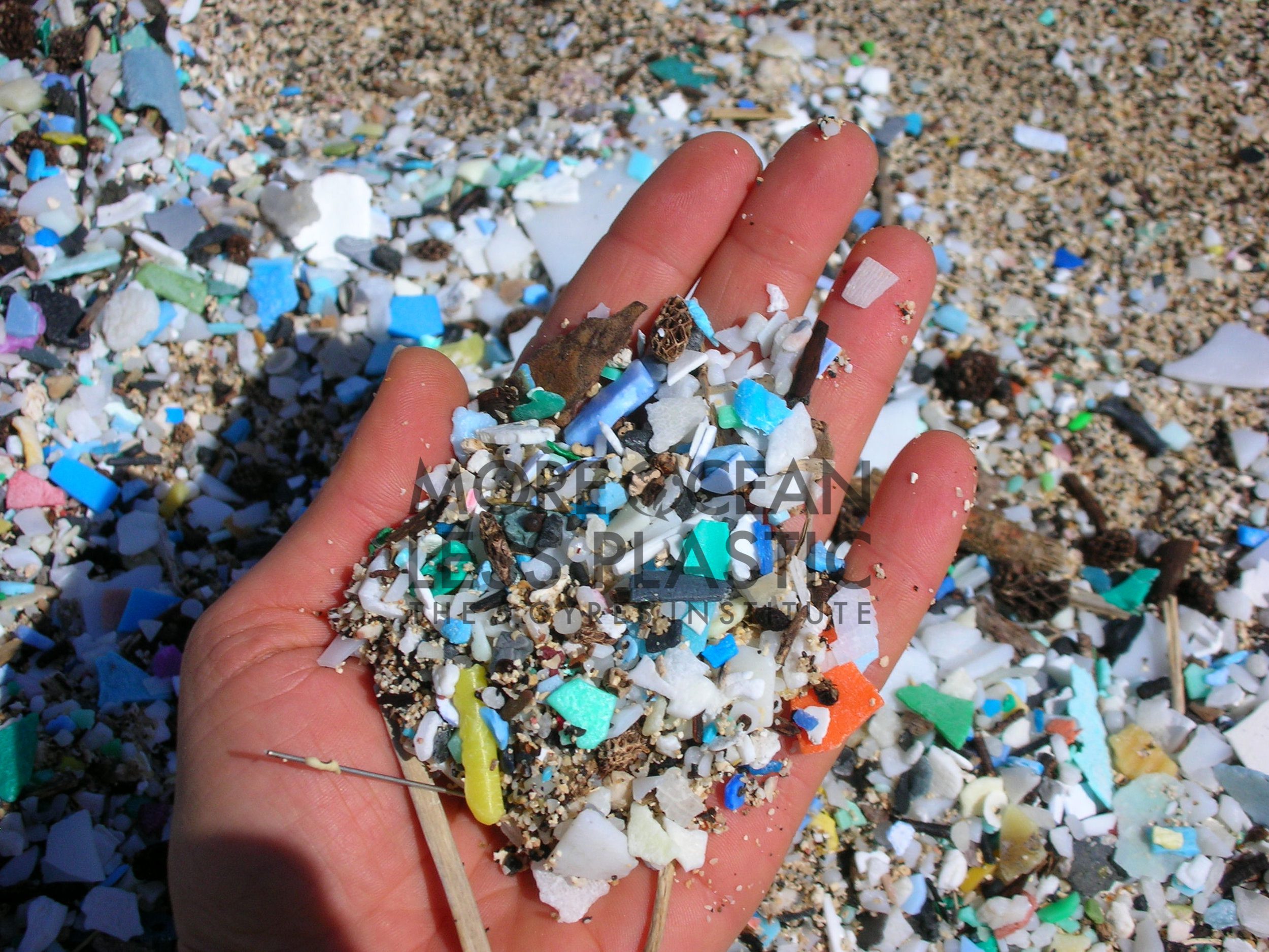 A hand full of sand containing small pieces of plastic pollution.