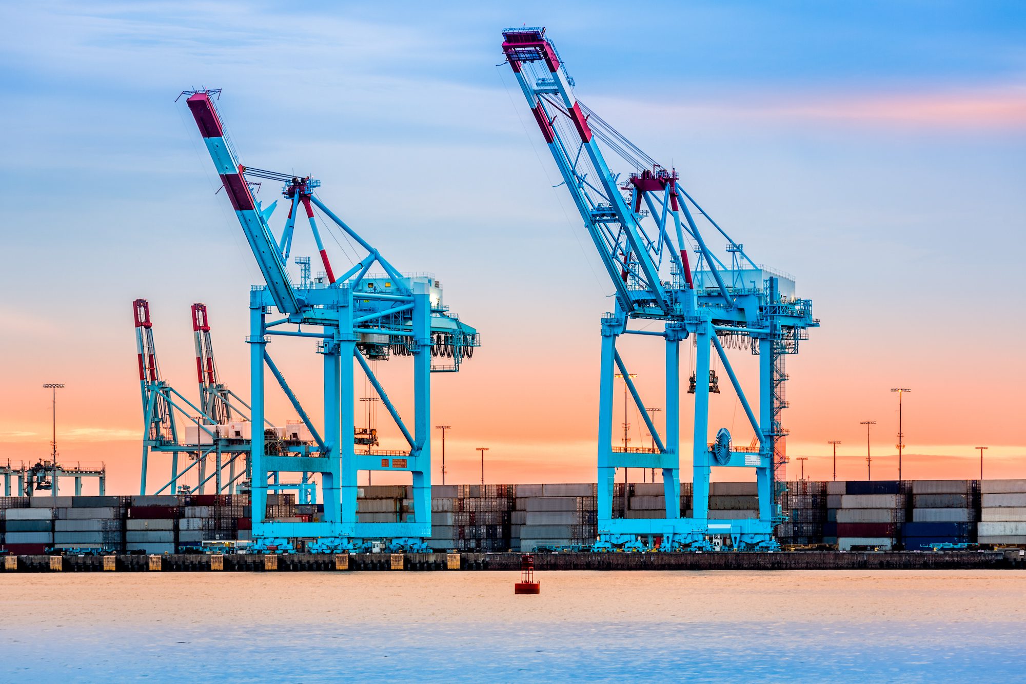 STS cranes at APM Terminals' Port Elizabeth Terminal, at the Port of New York and New Jersey. Photo: Mihai_Andritoiu/Shutterstock