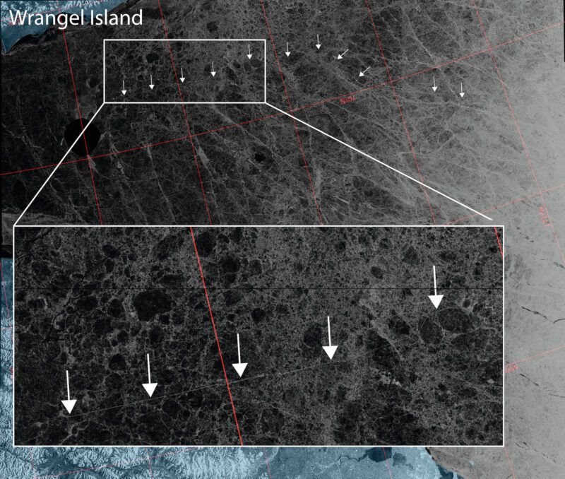 Sentinel-1 SAR imagery of the Long Strait south of Wrangel Island on February 3, 2024 showing the lead or channel in the sea ice created by the convoy. (Source: Copernicus Sentinel data, 2024)
