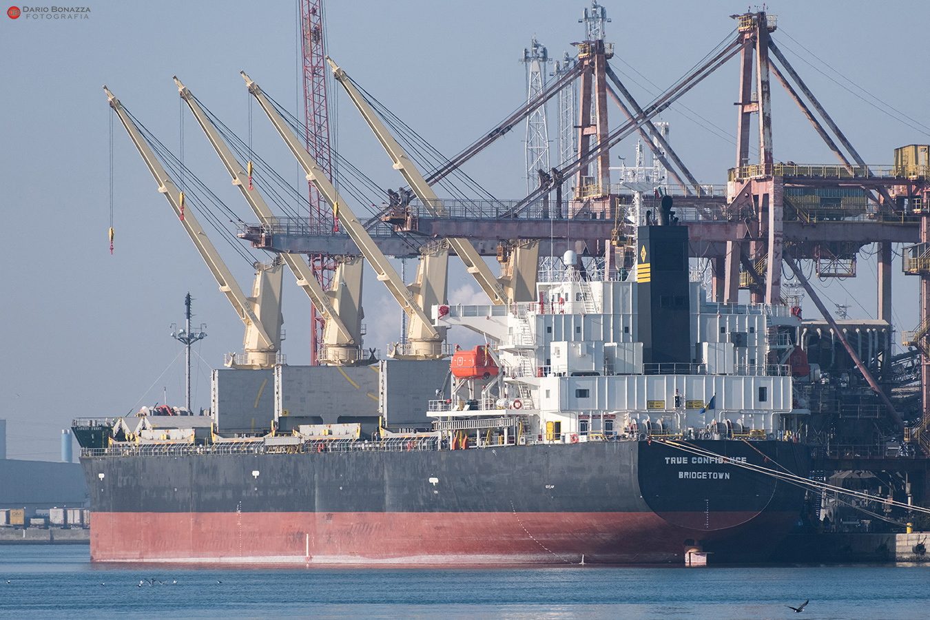 A view shows Barbados-flagged bulk carrier vessel True Confidence, in Ravenna, Italy March 10, 2022. Dario Bonazza/via REUTERS