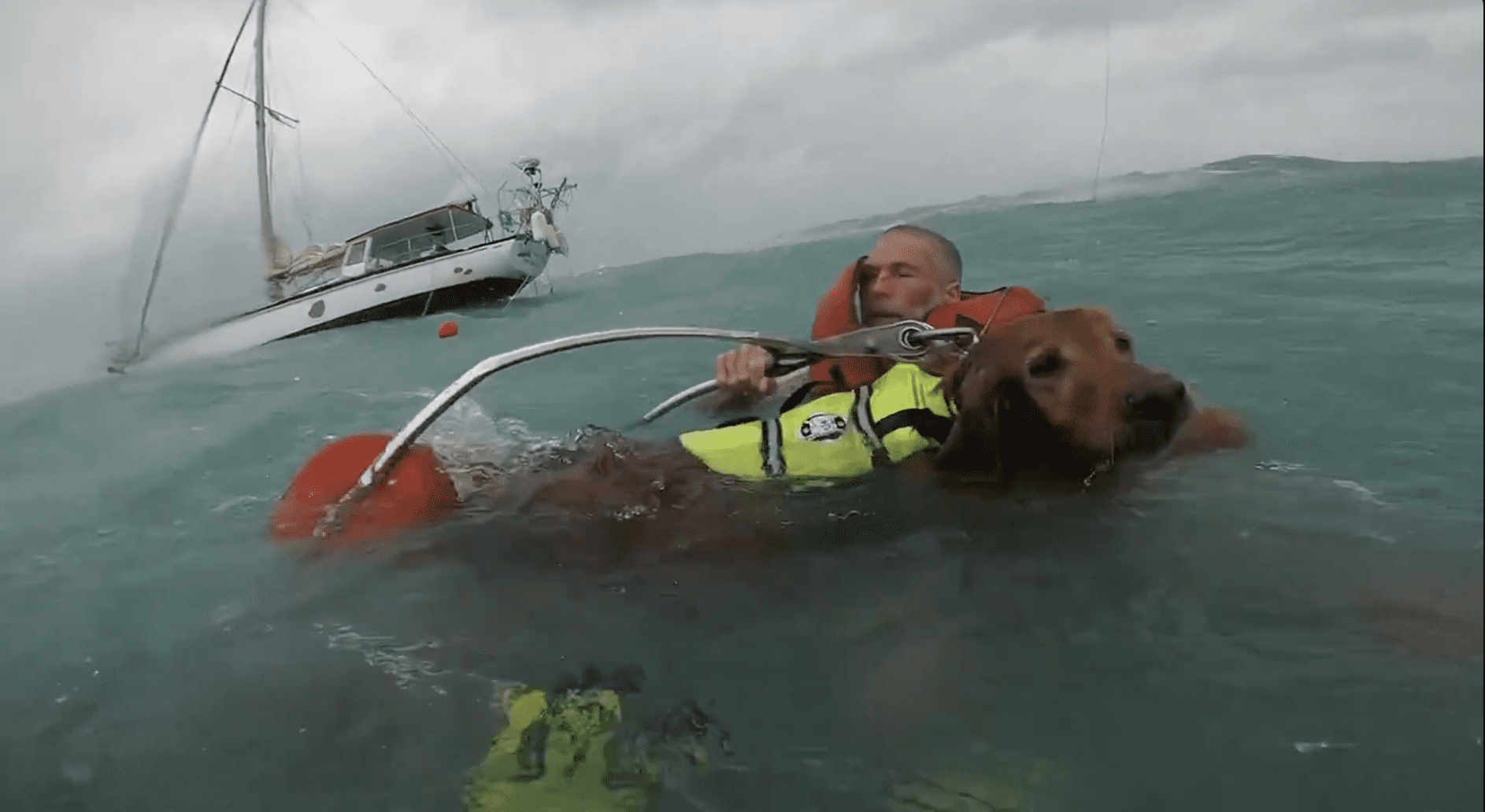 A Coast Guard Air Station Clearwater helicopter crew rescued a man and dog from a disabled and taking-on-water 36-foot sailing vessel 25 miles off Sanibel Island, Florida, on Sept. 26, 2024. U.S. Coast Guard Photo