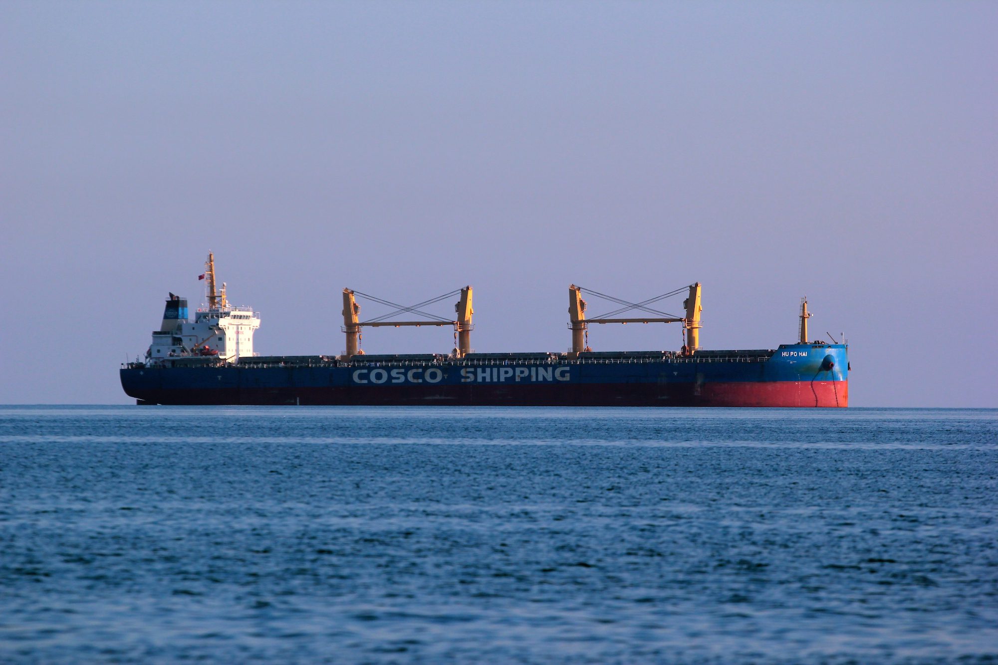 COSCO bulk ship at sea