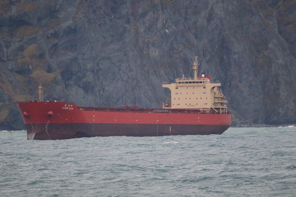 Cargo Ship ‘Pan Viva’ Weighs Anchor After Weathering Fierce Alaskan Storm