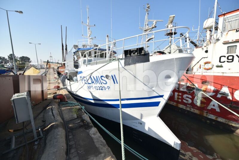 Part of Mozambique’s Ematum tuna fishing fleet that led to a debt scandal, May 9, 2019.Photographer: Matthew Hill/Bloomberg