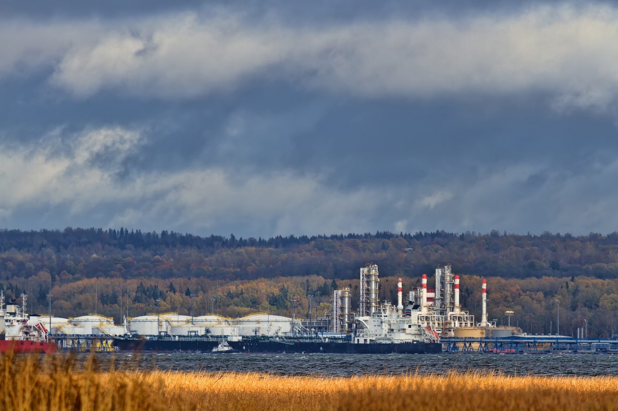 Ust-Luga oil terminal, Baltic pipeline system. Russia. View from the sea and reeds