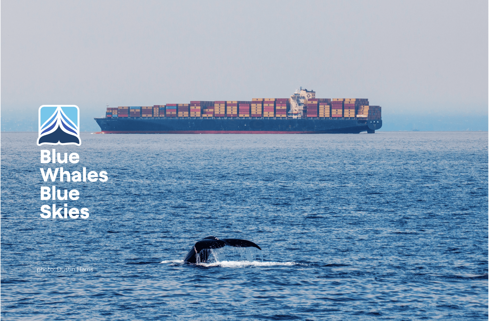 49 International Shipping Companies Opt In to Protect Endangered Whales & Reduce Air Pollution in Coastal Communities: 2024 Results and Rankings