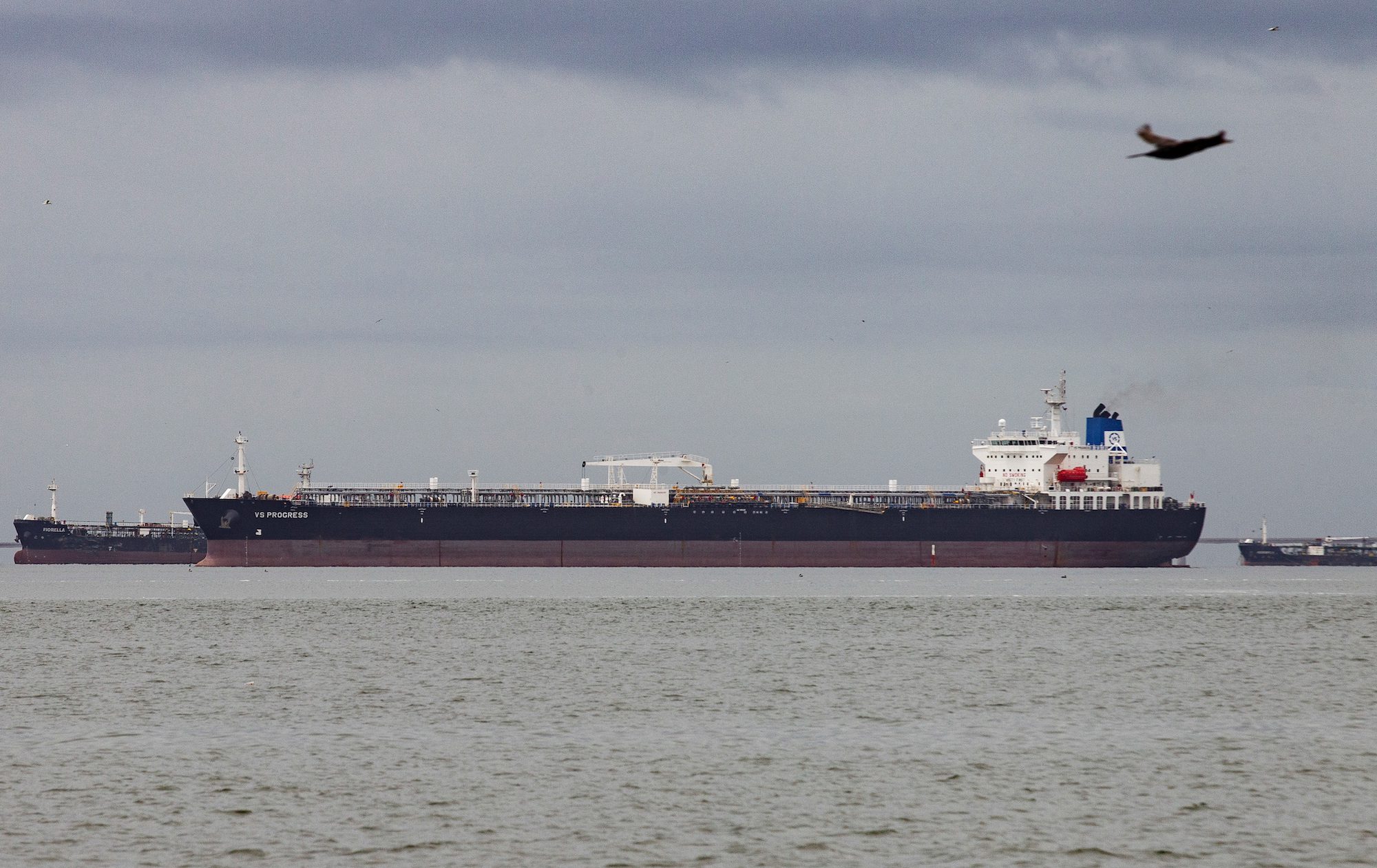 Dispatch 61 – SHIPS Ahoy