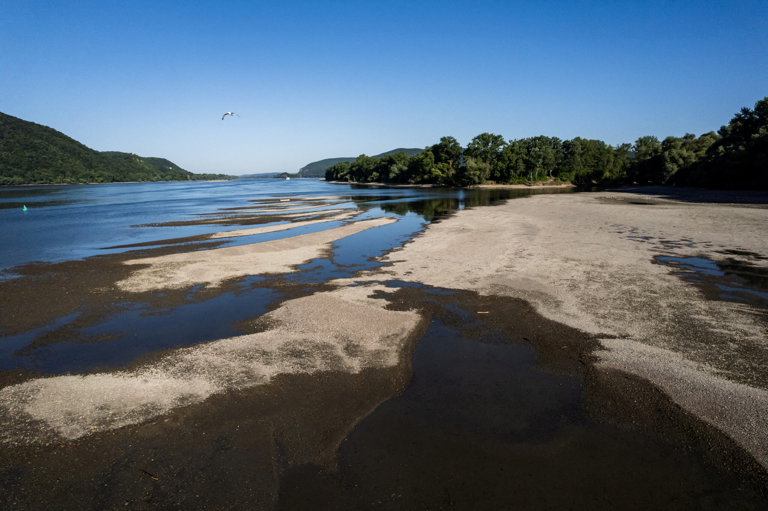 Sandbanks emerge from the water due to the low water level of the Danube.