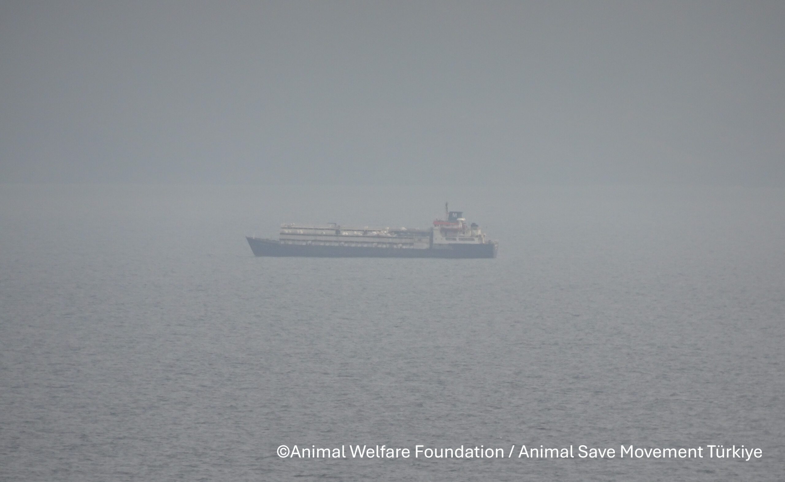 Spiridon II anchored offshore Turkey