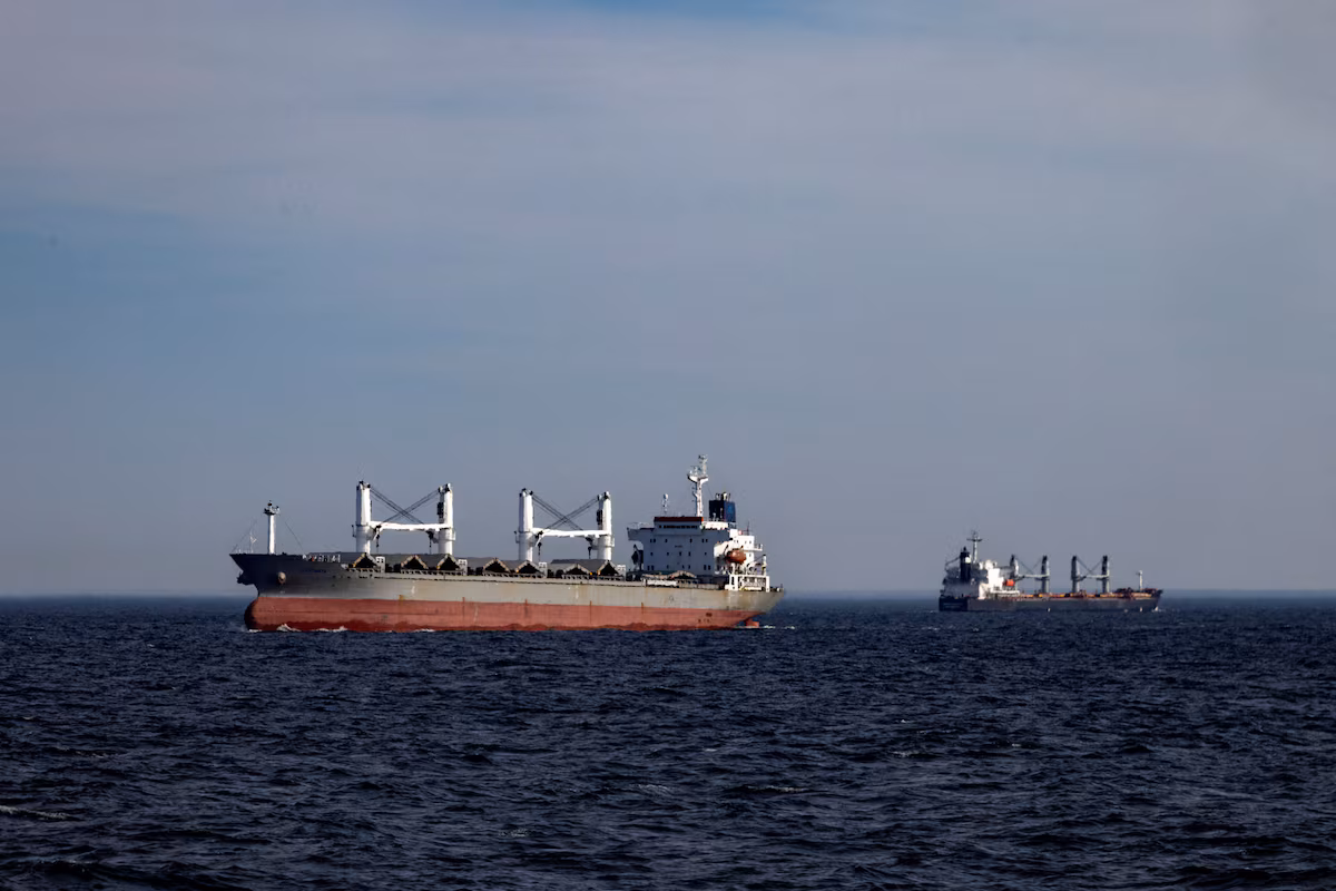 Ukraine Drone Attack Sinks Cargo Ship in Sea of Azov