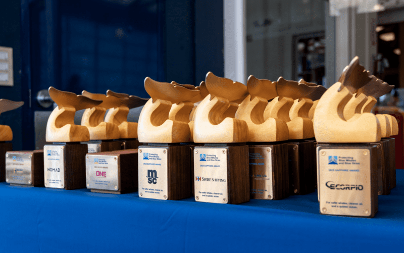 Sapphire and Gold awards handcrafted by shipwright Nate Slater; Credit: Adam Ernster