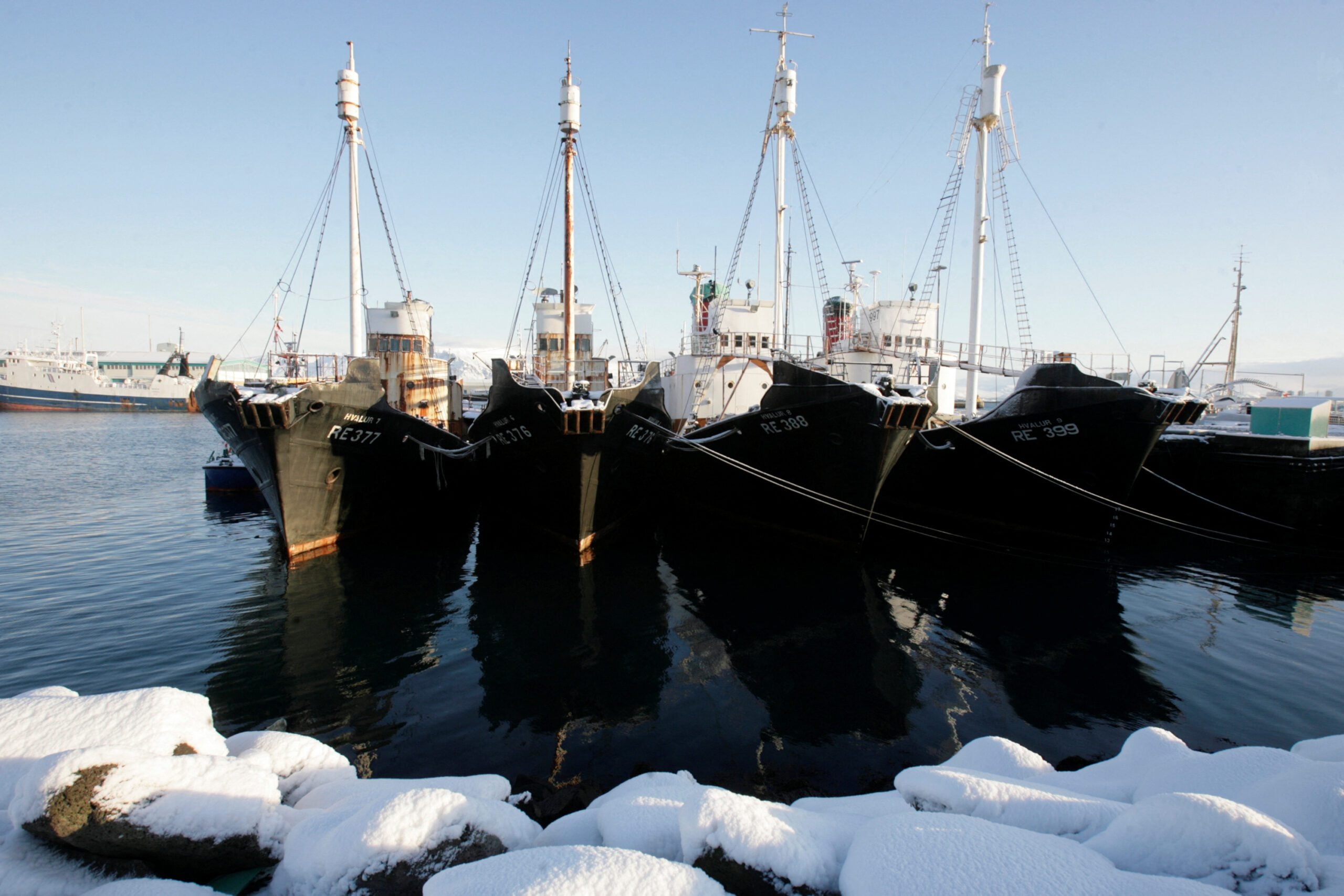 Whaling ships are seen docked at a wharf in Reikjavik